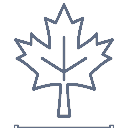 Canada Icon